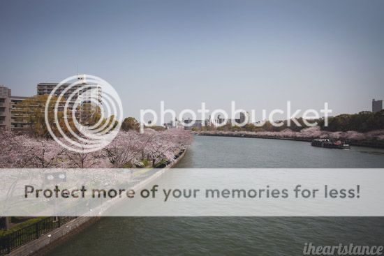 photo IMG_0601.jpg