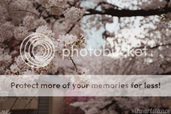 photo IMG_0827.jpg