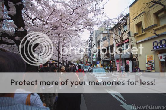 photo IMG_0832.jpg