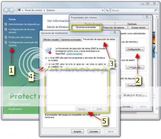 Windows Windows