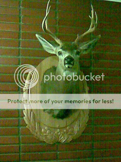 Posted Image
