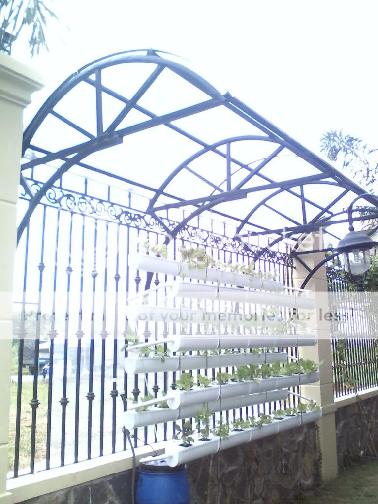 Posted Image