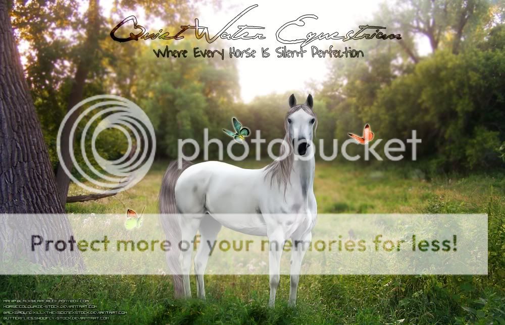 Pedigree Dog And Horse Breeding Horse Breeding Simulation Games | Dog ... Pedigree Dog And Horse Breeding Horse Breeding Simulation Games | Dog ...