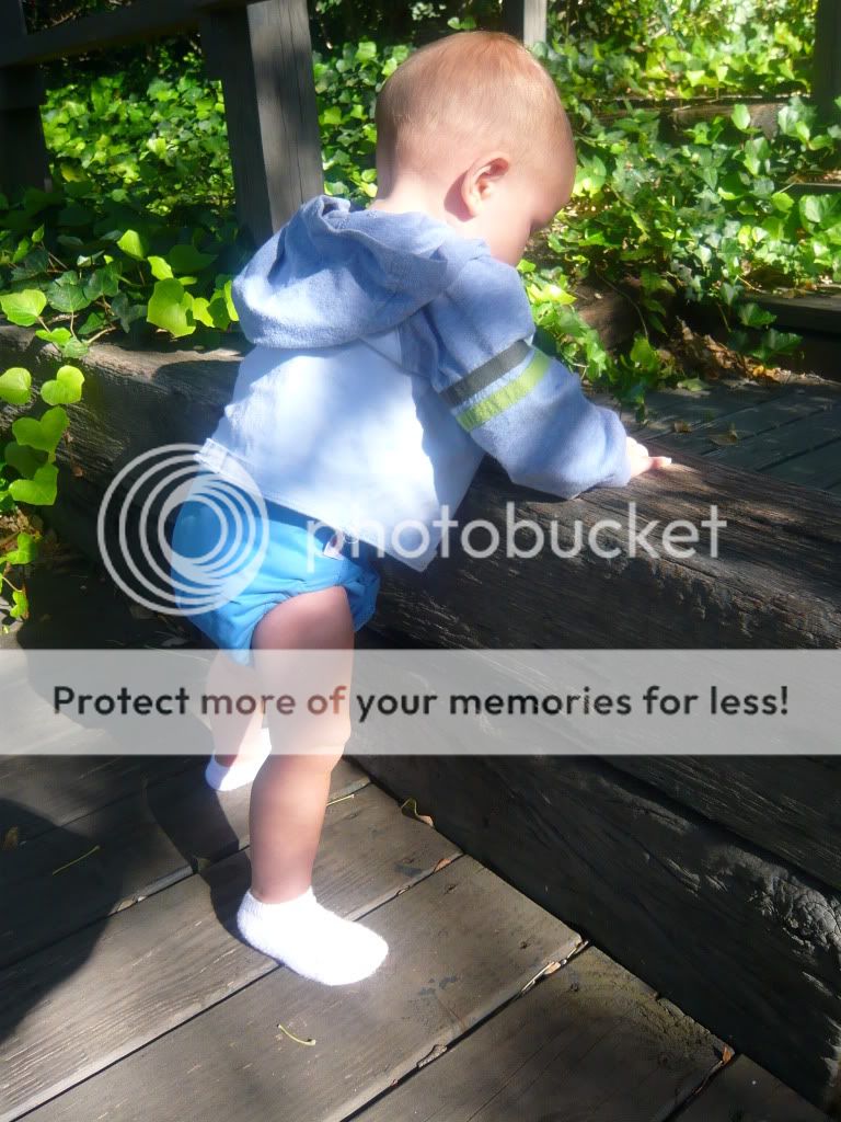 I LOVE the New Flip Cloth Diapers! I LOVE the New Flip Cloth Diapers!