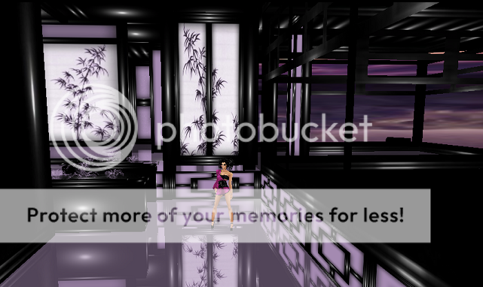 photo lilac1_zpsf70ea58c.png