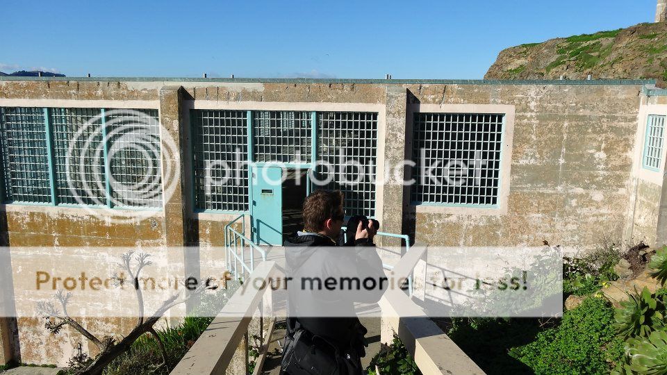 934893_10151386961047724_1277174196_n_zp