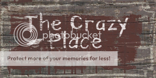 TheCrazyPlace_zps56c0b6f4.png