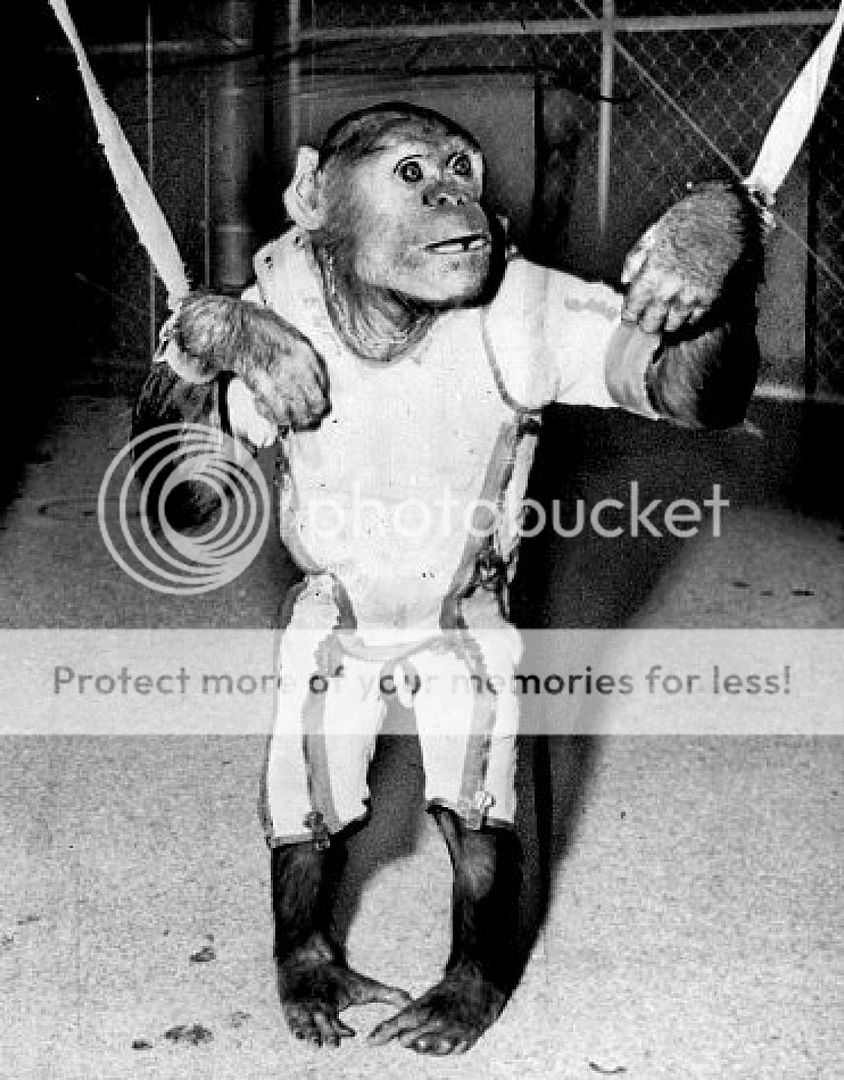 Ham%20space%20chimp_zpsoo4jkwkk.jpg