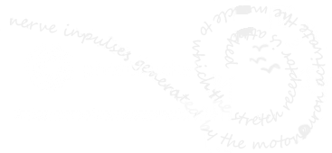 nerveimpulsesgeneratedbythemotorneuronac