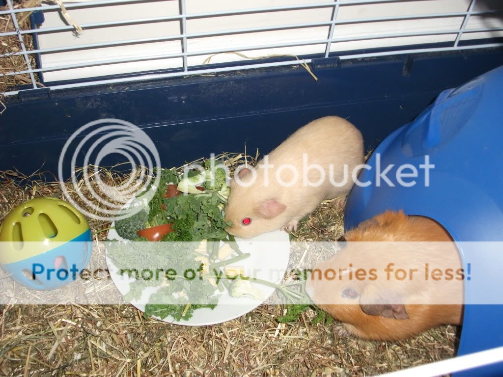 boysdinnertime008.jpg