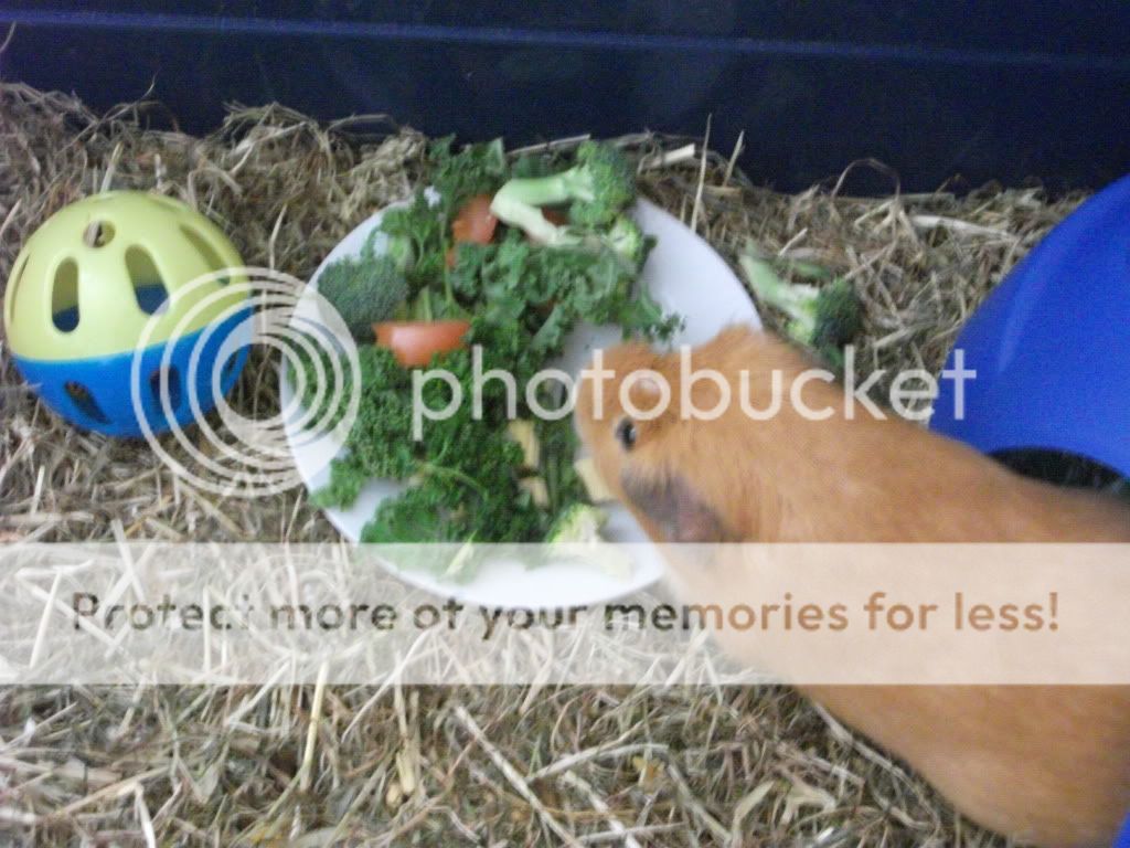 boysdinnertime021.jpg