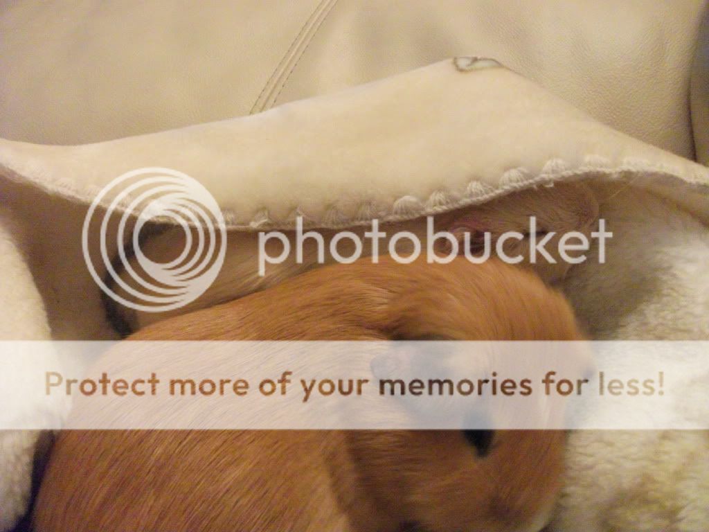 maxwellandmaddoxcuddles018.jpg