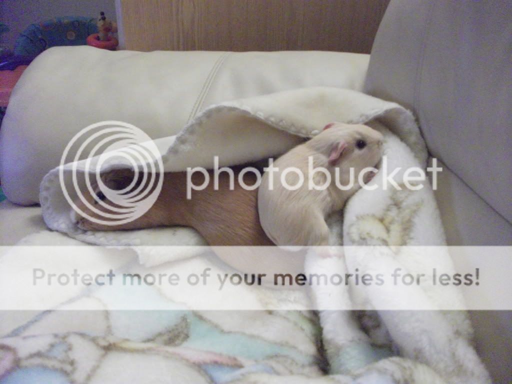 maxwellandmaddoxcuddles019.jpg