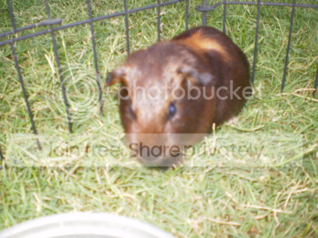 AneikasPictures007.jpg