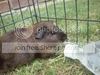AneikasPictures009.jpg