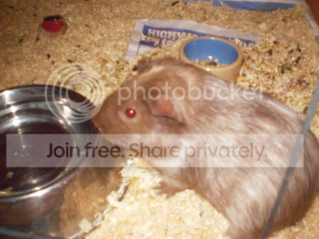 AneikasPictures019.jpg